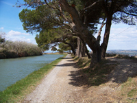 Towpath along the Canal de la Robine